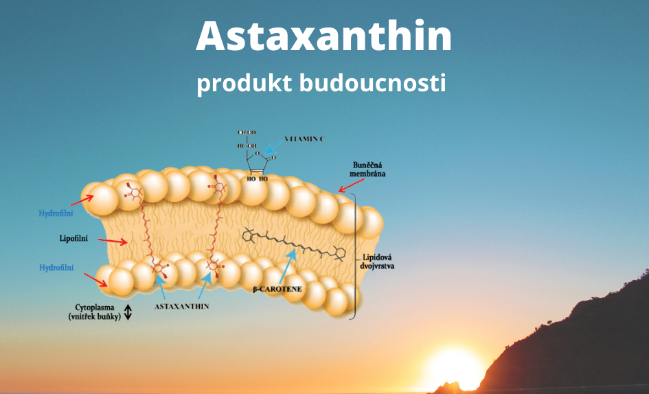 ASt