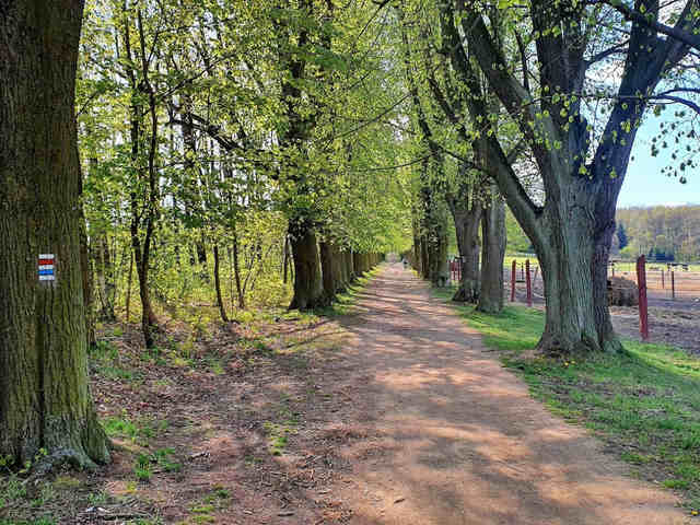 Placené cyklotrasy vás vyjdou lépe než zdarma