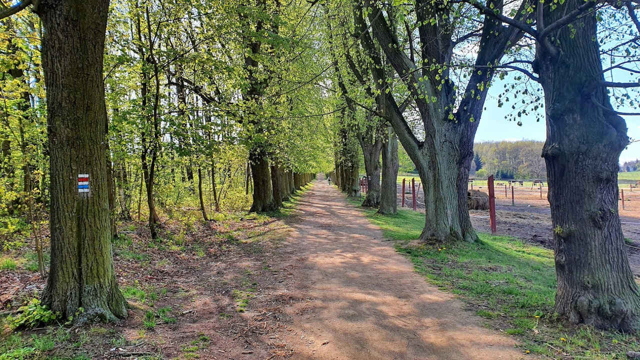 Fotografie z oznámení projektu Cyklotrasy Veloklasik 2021