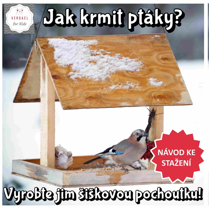 KRMENÍ PTÁKŮ V ZIMĚ