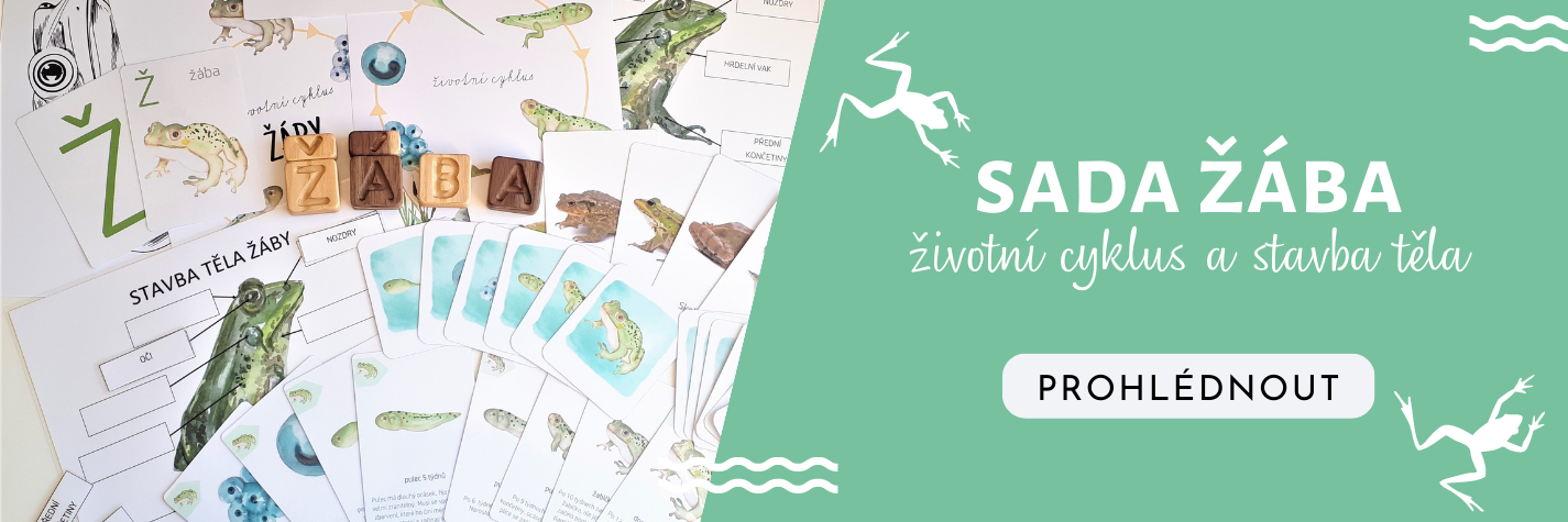 sada žába