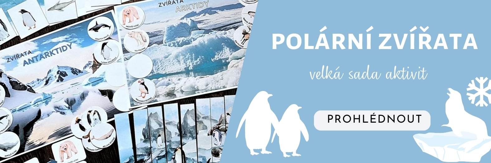 SADA aktivit polarni zvířata vzdělávací aktivity pro děti