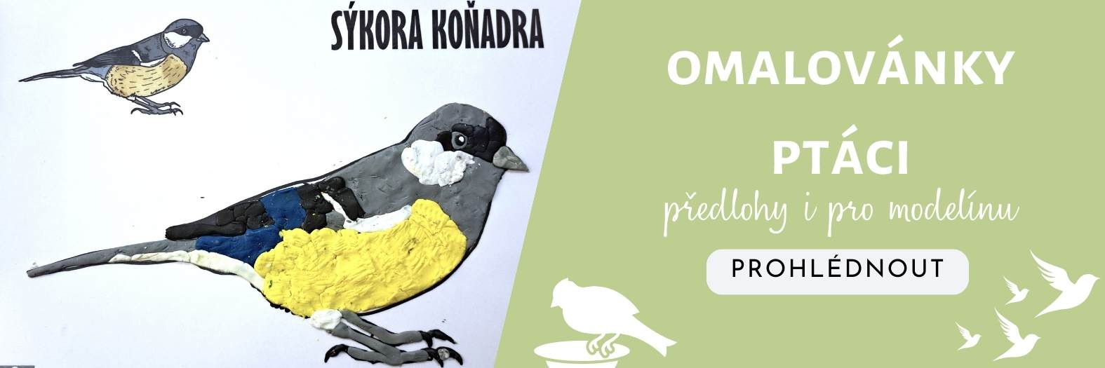omalovanky ptaci předlohy na modelinu aktiviy pro děti verdael