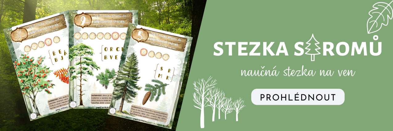 stezka stromů