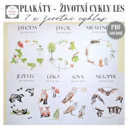 životní cykly v lese PLAKÁTY