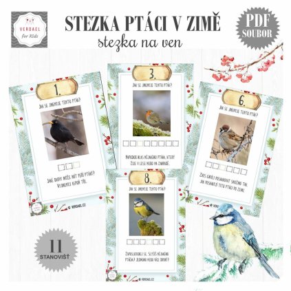 STEZKA PTÁCI V ZIMĚ