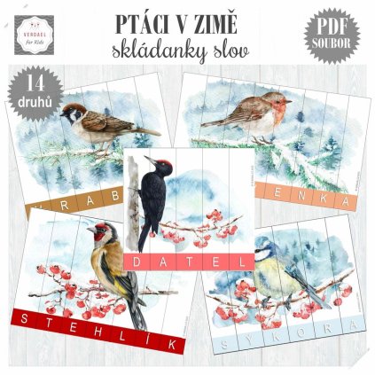 ptáci v zimě skládanky slov 14 druhů