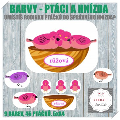 BARVY PTACI