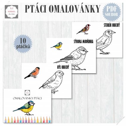 ptáci omalovánky
