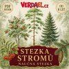 STEZKA STROMŮ
