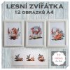 lesní zvířátka 12 obrázků