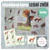 Třísložkové karty lesní zvěř česky