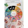 HUMAN BODY 1 - 14 activities set