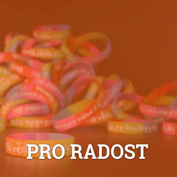 Drobnosti pro radost
