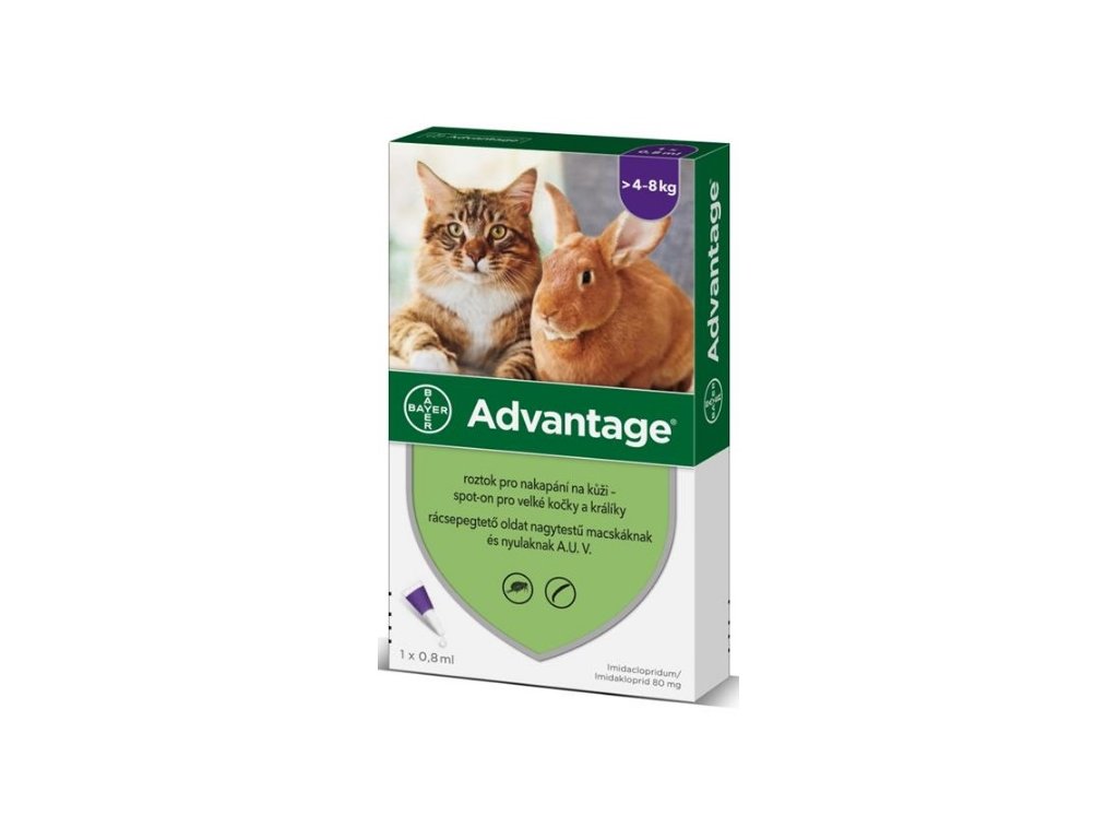 advantage 4 8