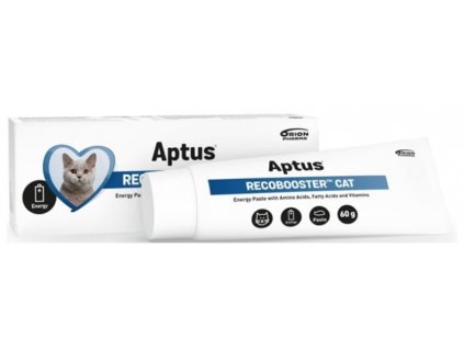 Aptus reconvalescent cat