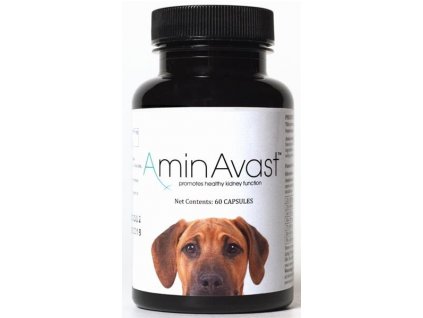 aminavast dog