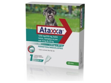 ataxxa L