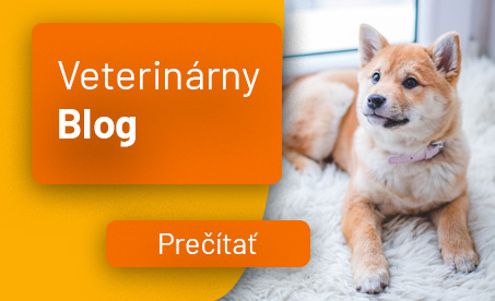 Veterinárny blog