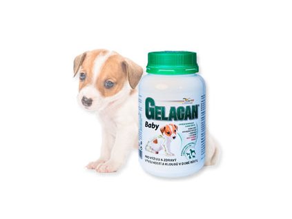 gelacan baby 150g pes