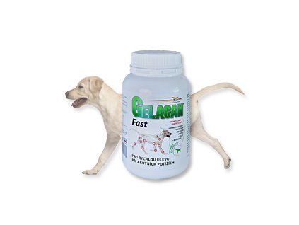 gelacan fast 150g labrador a