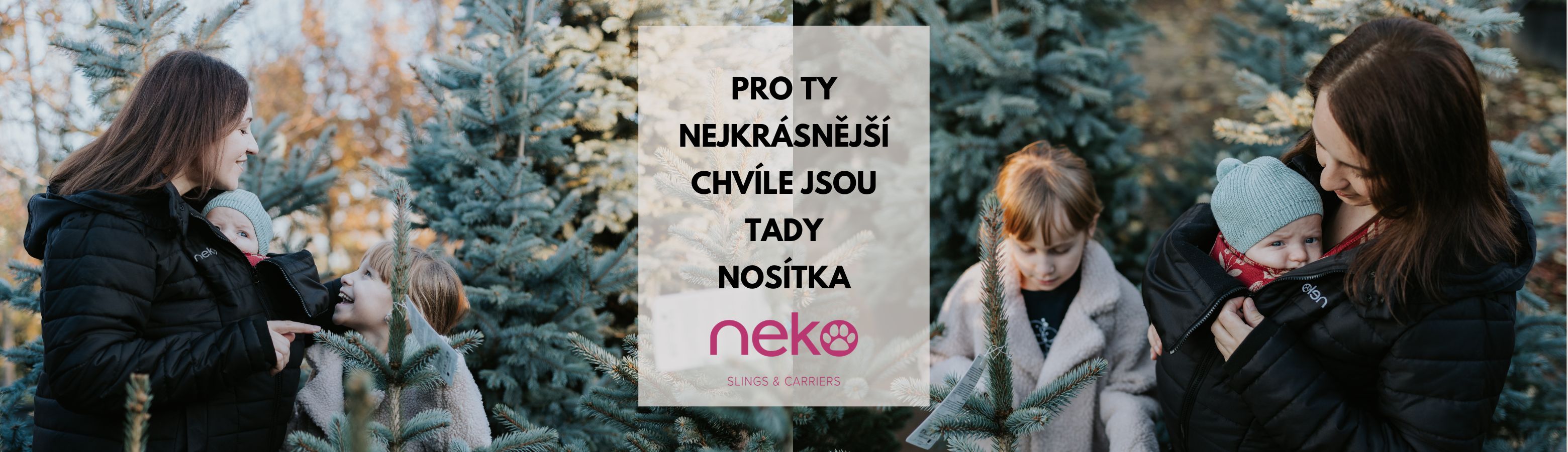 Neko vánoční 203 - desktop