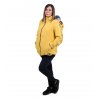 NP17 mustard musztarda yellow 15 1x1