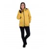 NP17 mustard musztarda yellow 22 1x1
