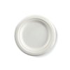 Talíř BIO z cukrové třitiny O230mm