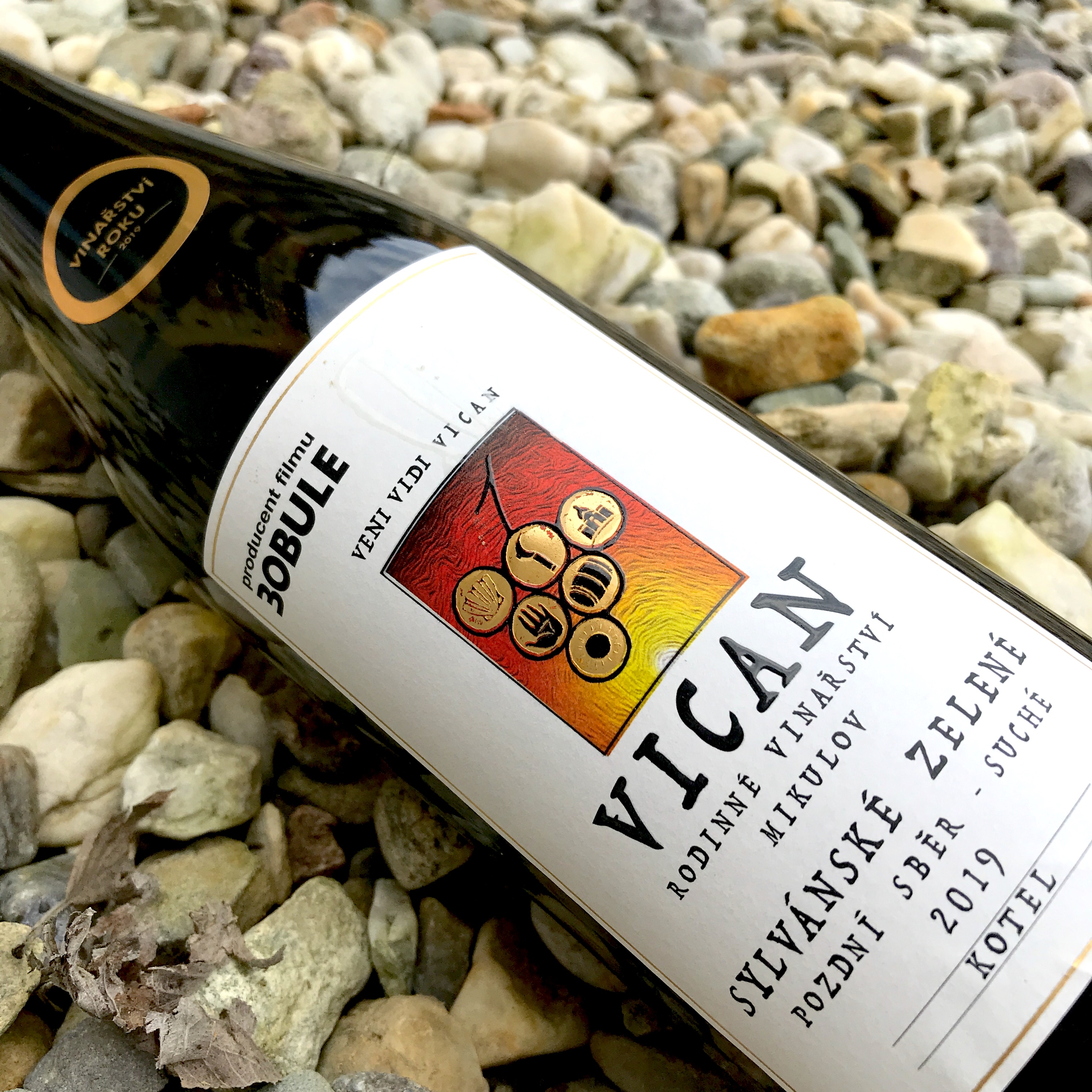 Sylvánské zelené ve vinařství VICAN