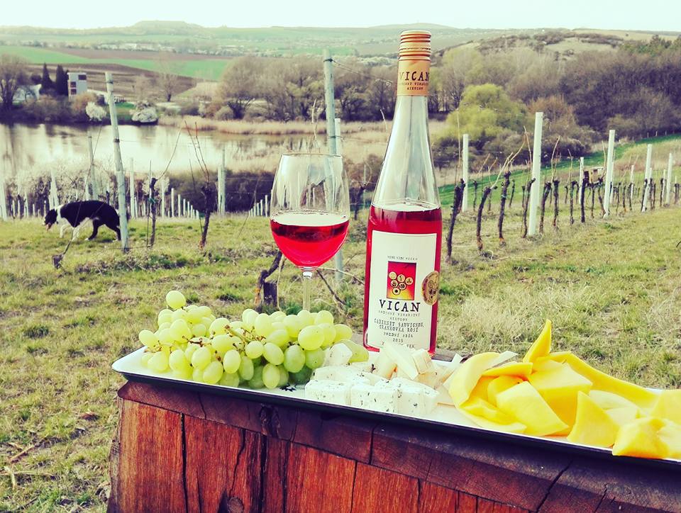 Růžová vína - co víc si v létě přát?