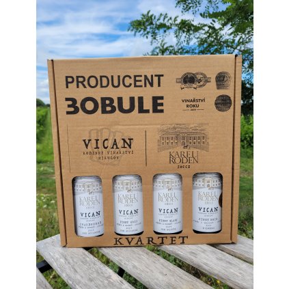 Rodenův výběr Burgund