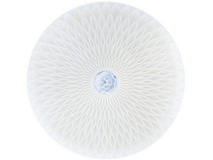166116 RADIUS A
