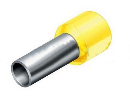 100225 DUTINKA%20ZLTA~2