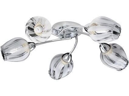 Luster Danila 2970 chróm