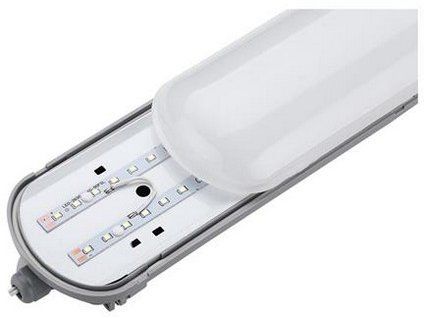 197643 MEDUSA 58%20B