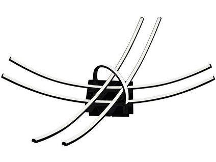 216489 CORNELIA%20BLACK%20A