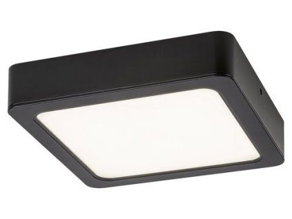Shaun 2690