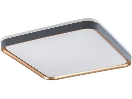 Svietidlo LED stropné Liatris 71029 sivé