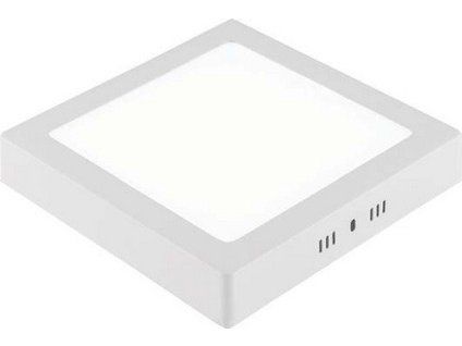 261888 SELENA%20BIELA%201~1