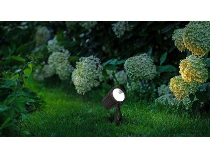 262050 OPTIC%20GORSEL