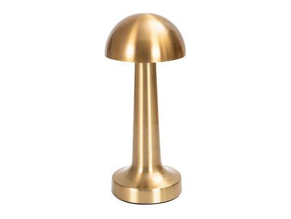 266195 aviva gold