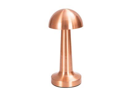 266196 aviva rose gold