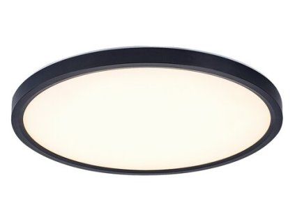 Lautrec 75084