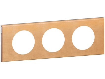 152337 069213 LEGRAND 1000