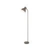 Stojacia lampa Derek 4329 sivá