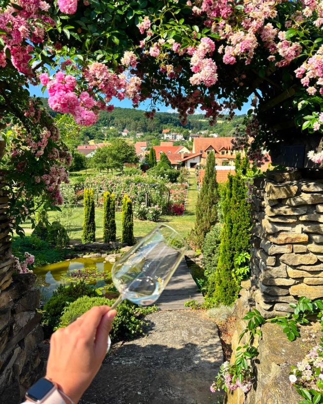 Víno v růžích 🌹🥀 Dnes nás najdete na akci Víno v růžích v Radějově. 🌹🍷 Počasí přeje, víno je nachlazené a my jsme...
