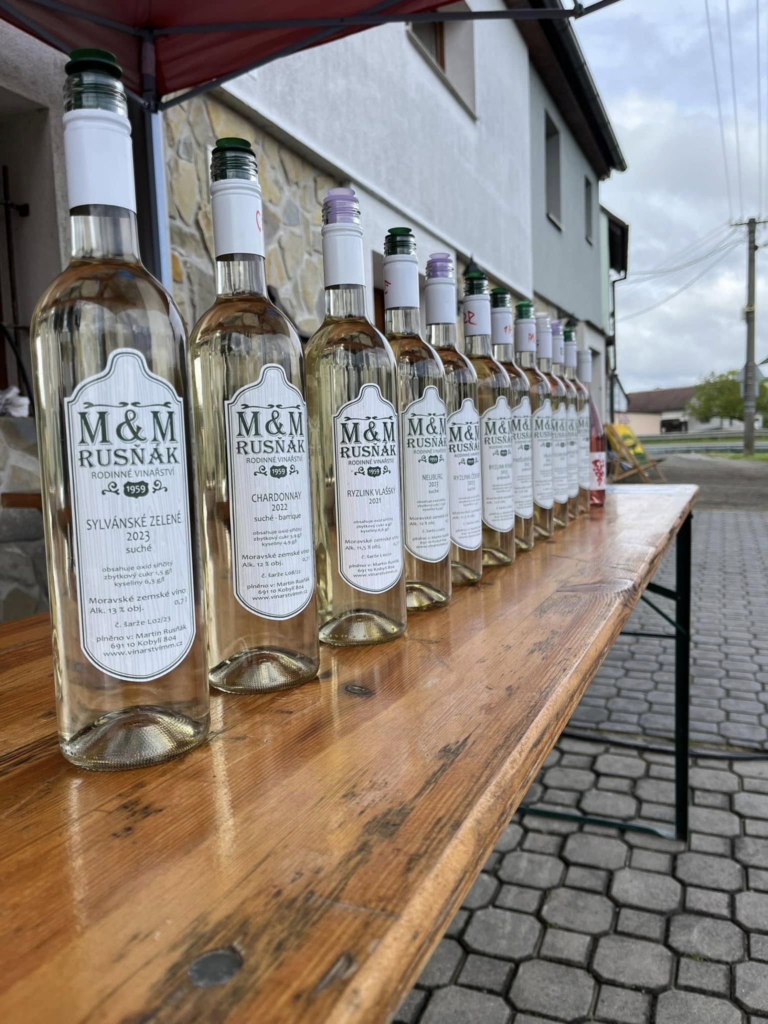 Po kobylských uličkách za vínem 2025