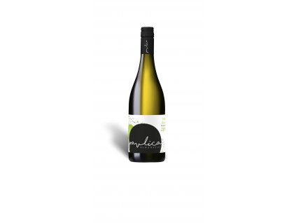 Pinot Blanc