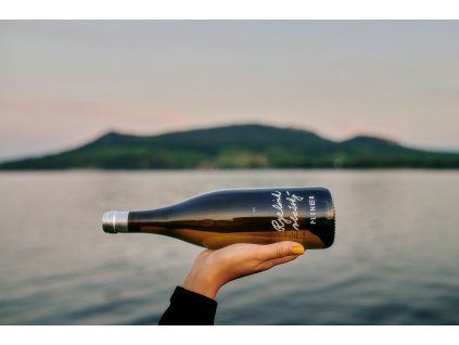 RYZLINK VLAŠSKÝ 2024 - NOVINKA